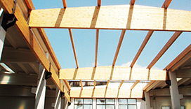Formazione di copertura su struttura in carpenteria lignea
