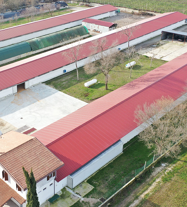 Tetto azienda agricola